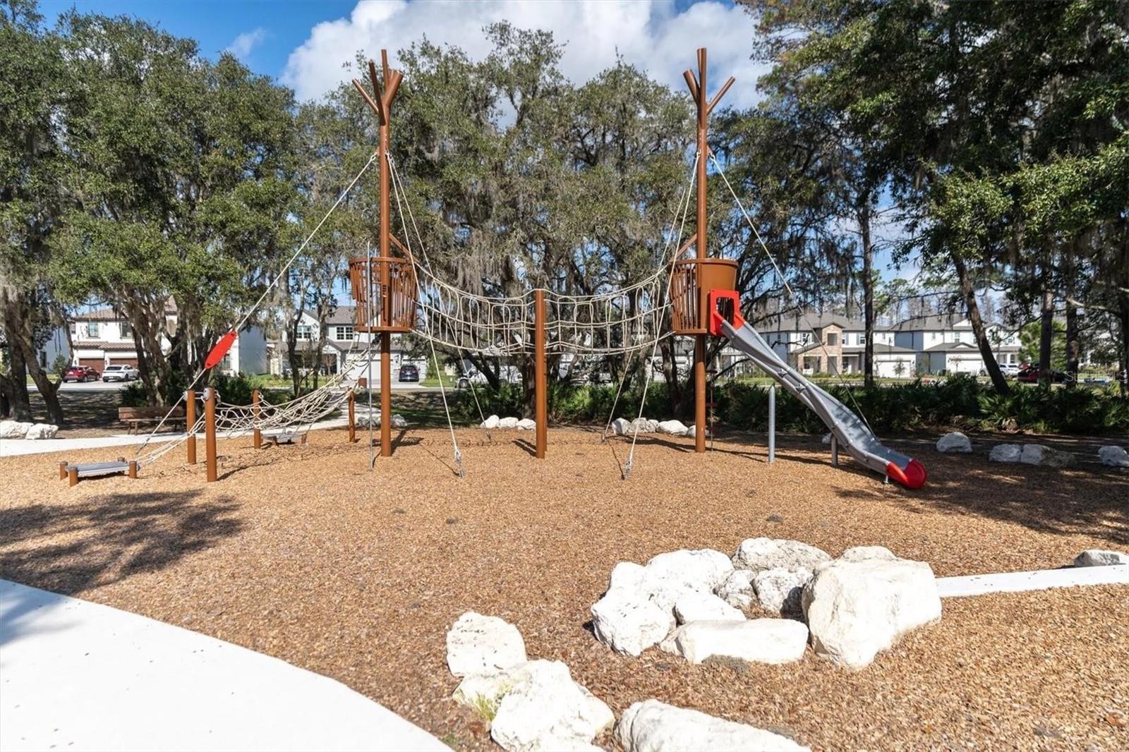 12568 RANGELAND BLVD, ODESSA, FL — photo 46