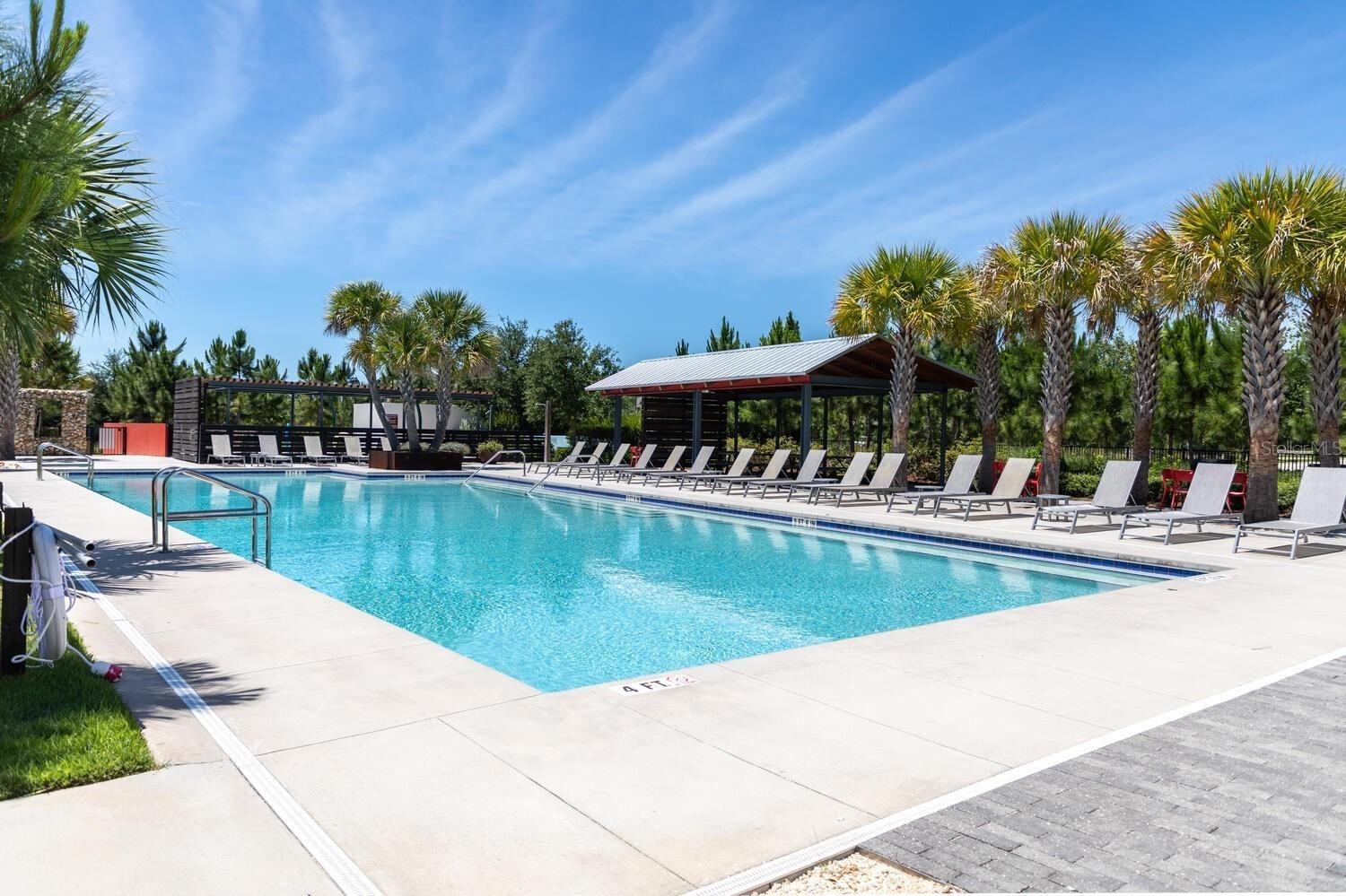 12568 RANGELAND BLVD, ODESSA, FL — photo 48