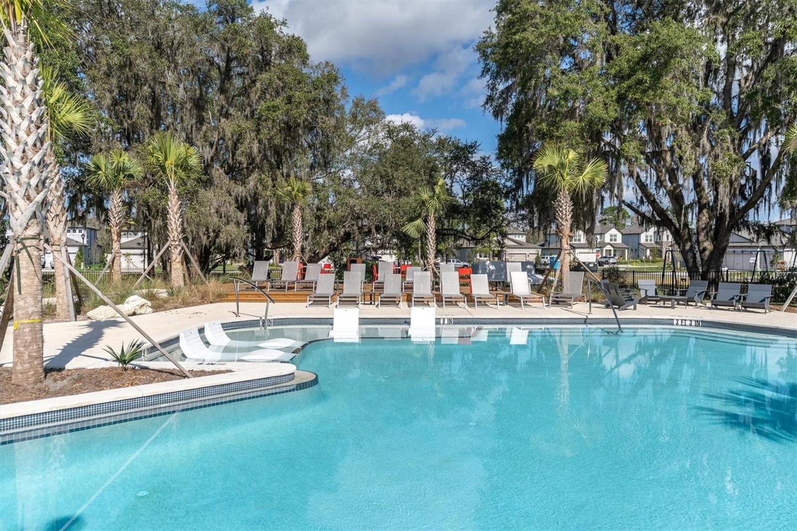 12568 RANGELAND BLVD, ODESSA, FL — photo 51