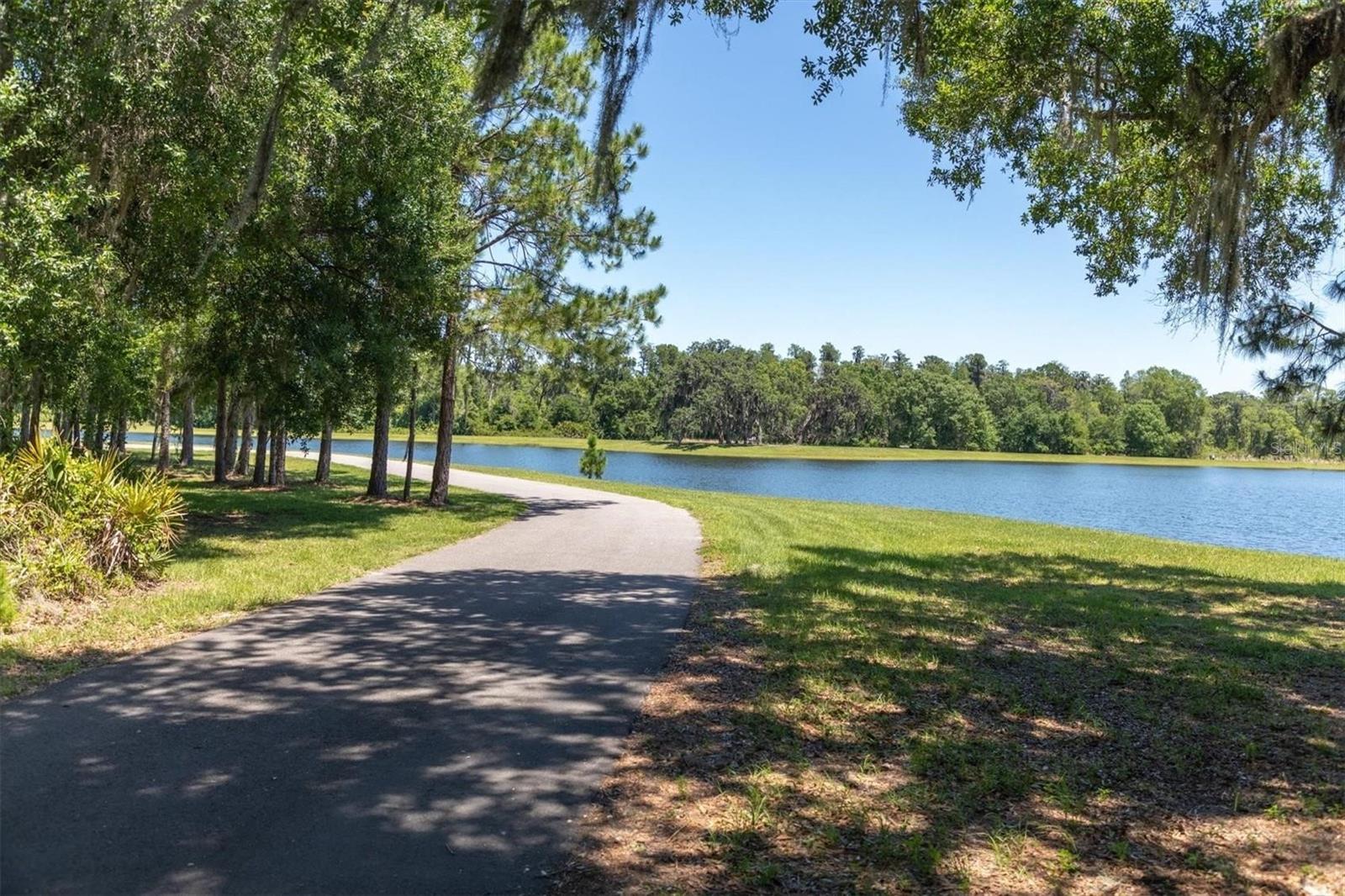 12568 RANGELAND BLVD, ODESSA, FL — photo 53