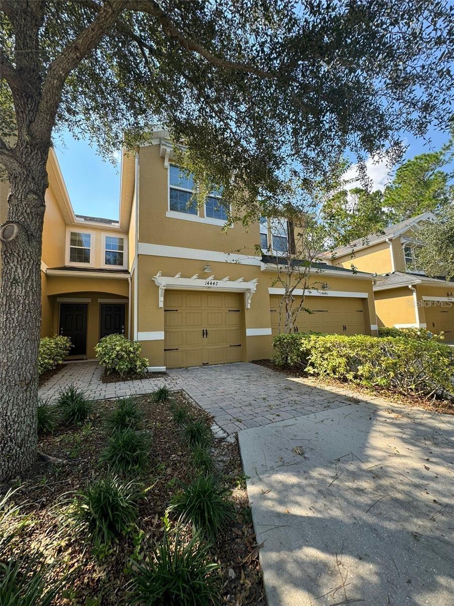 14442 DESERT HAVEN ST #4305, WINDERMERE, FL — photo 3