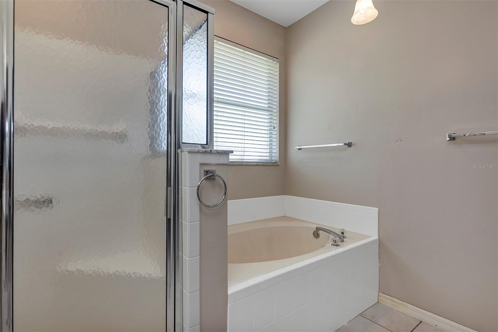 2880 MEDITERRANEAN LOOP, TAVARES, FL — photo 62