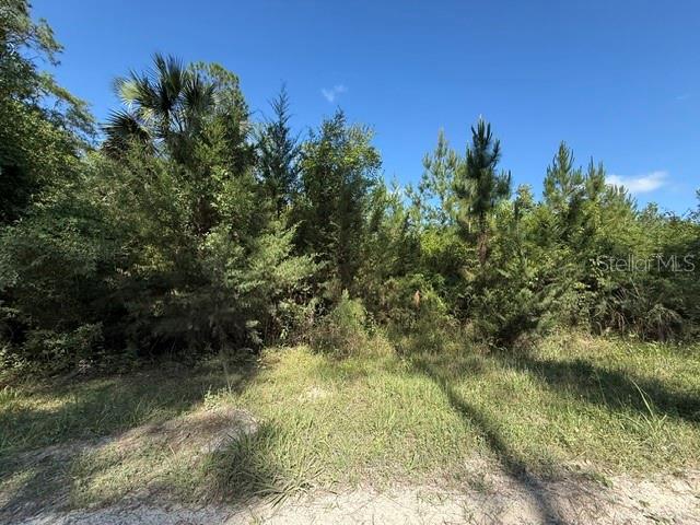 COUNTY ROAD 75, BUNNELL, FL