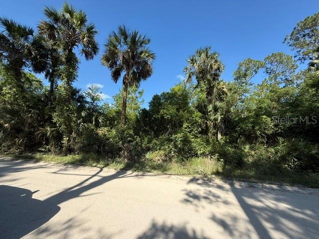 COUNTY ROAD 75, BUNNELL, FL — photo 2