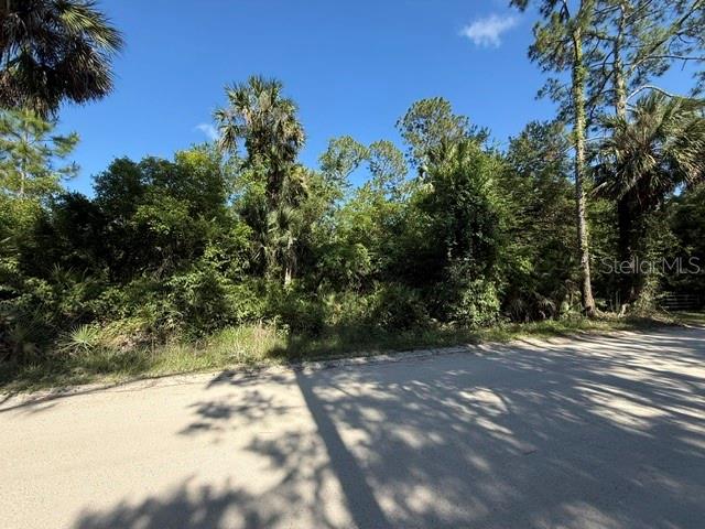 COUNTY ROAD 75, BUNNELL, FL — photo 3