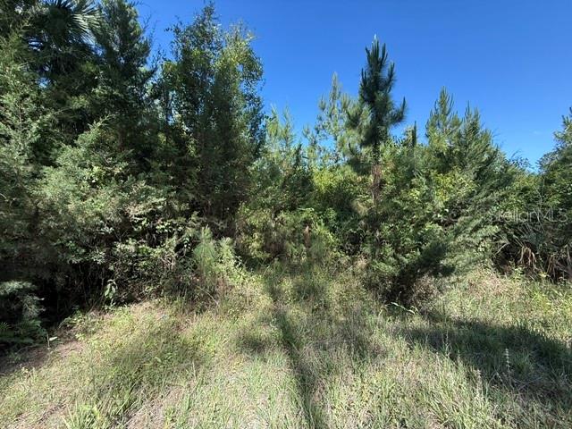 COUNTY ROAD 75, BUNNELL, FL — photo 4