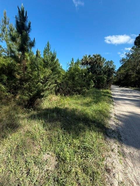 COUNTY ROAD 75, BUNNELL, FL — photo 5
