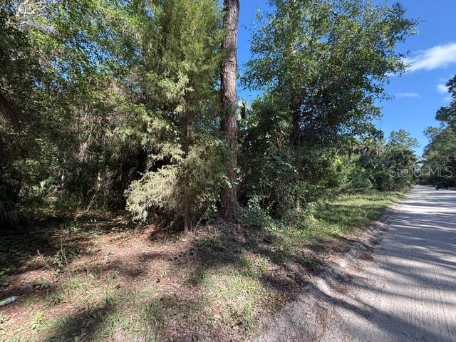 COUNTY ROAD 75, BUNNELL, FL — photo 6