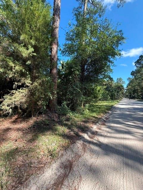 COUNTY ROAD 75, BUNNELL, FL — photo 7