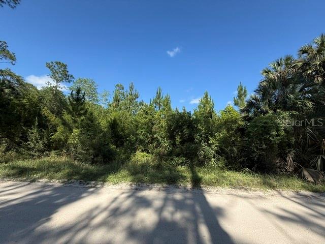 COUNTY ROAD 75, BUNNELL, FL — photo 8