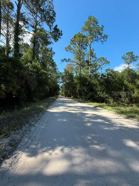 COUNTY ROAD 75, BUNNELL, FL — photo 9