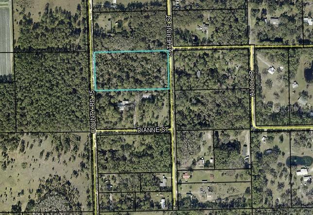 COUNTY ROAD 75, BUNNELL, FL — photo 10