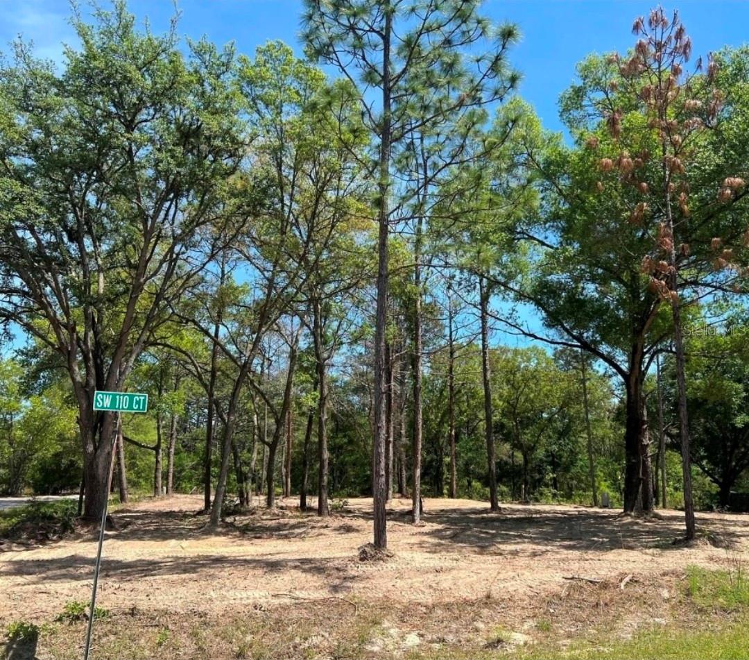 SW 110TH CT, DUNNELLON, FL — photo 2