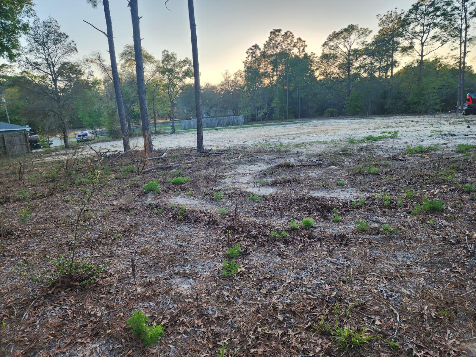 SW 110TH CT, DUNNELLON, FL — photo 6