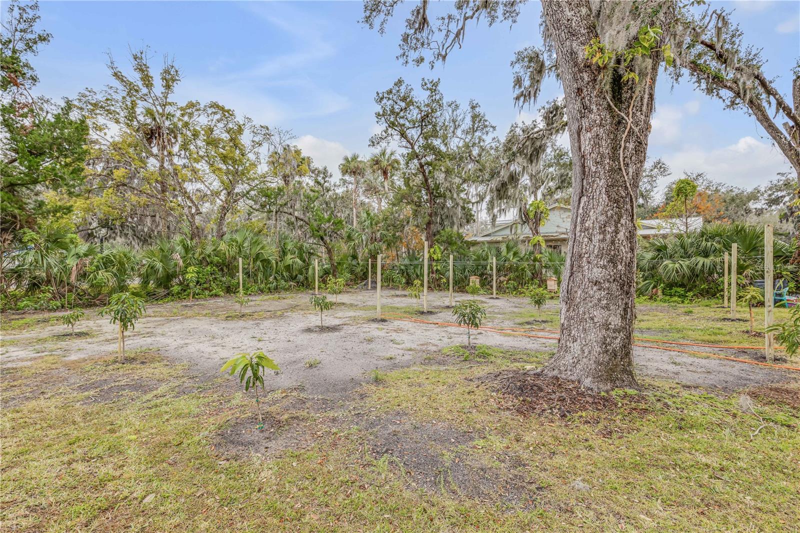 801 CANAL ST, NEW SMYRNA BEACH, FL — photo 85
