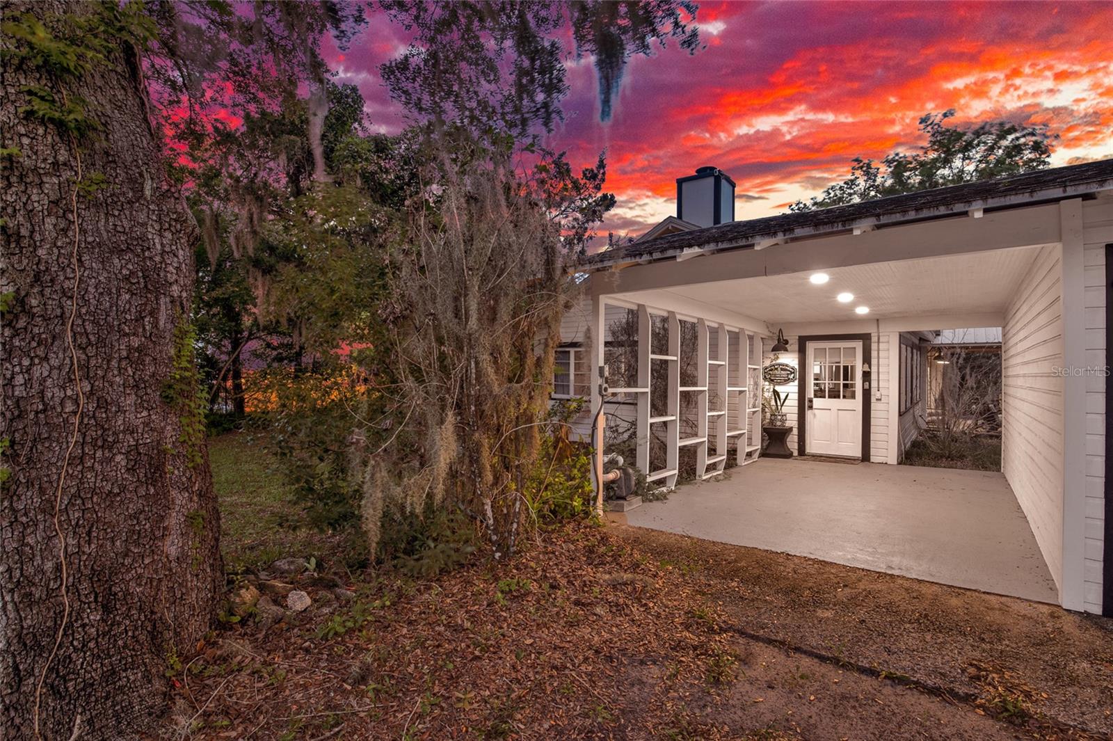 801 CANAL ST, NEW SMYRNA BEACH, FL — photo 5