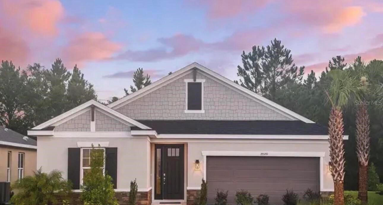 33320 CASTAWAY LOOP, WESLEY CHAPEL, FL