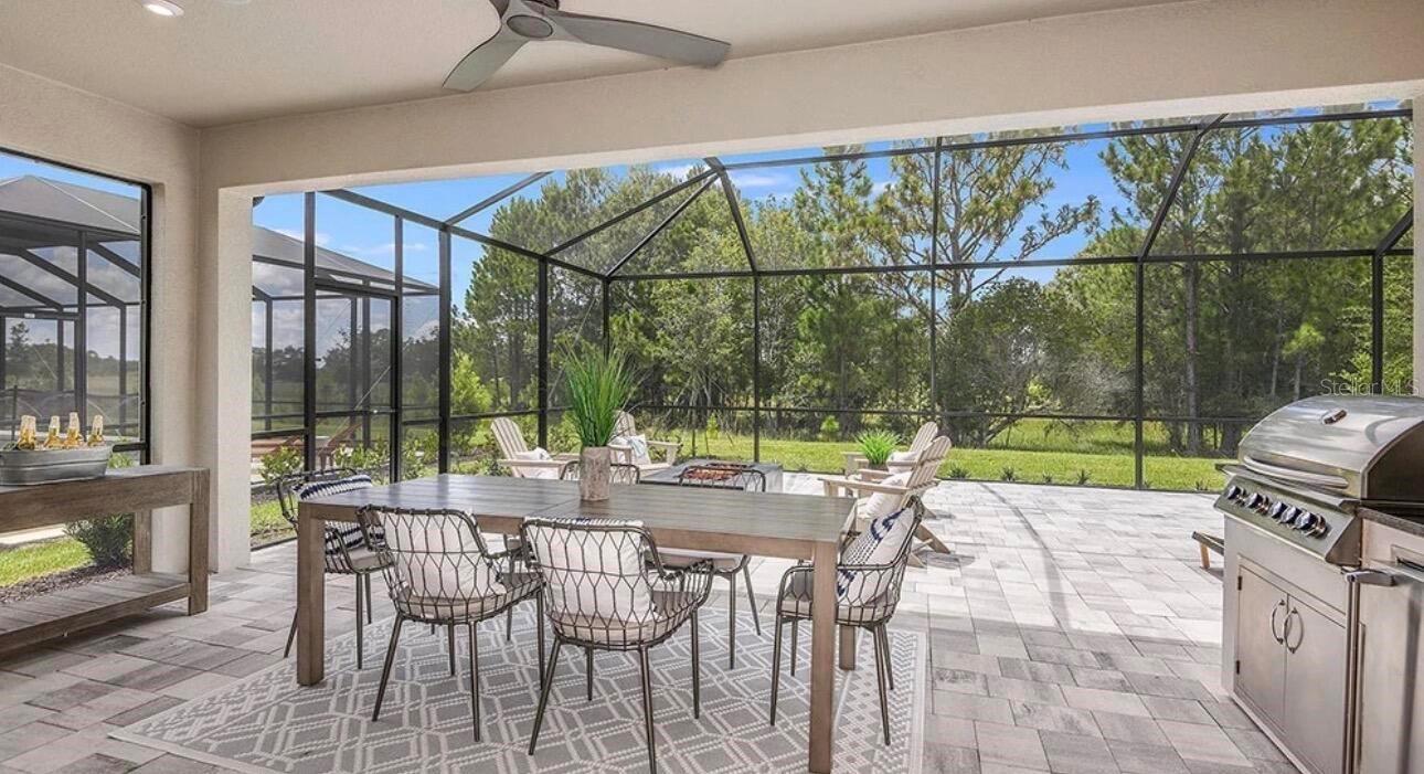 33320 CASTAWAY LOOP, WESLEY CHAPEL, FL — photo 4