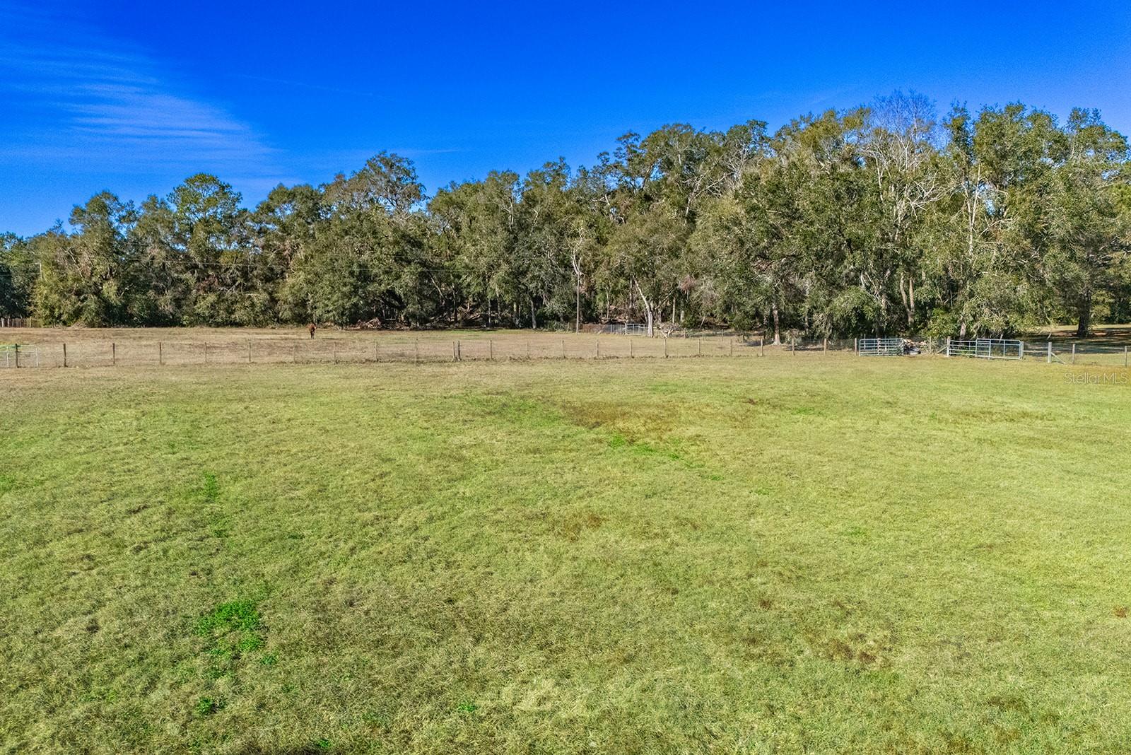 21800 SW 15TH AVE, NEWBERRY, FL — photo 43