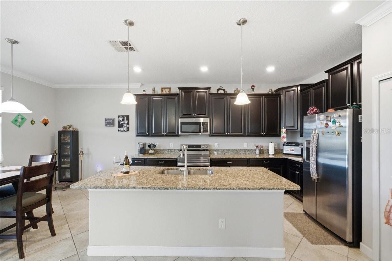 19132 ANDREA LYNN LN, LAND O LAKES, FL — photo 9