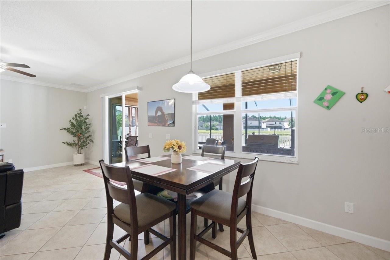 19132 ANDREA LYNN LN, LAND O LAKES, FL — photo 18