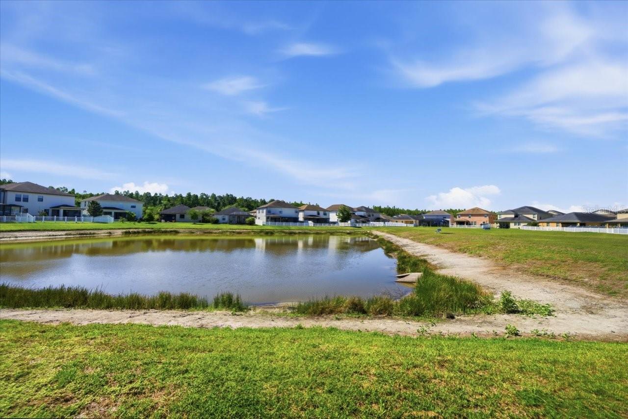 19132 ANDREA LYNN LN, LAND O LAKES, FL — photo 58