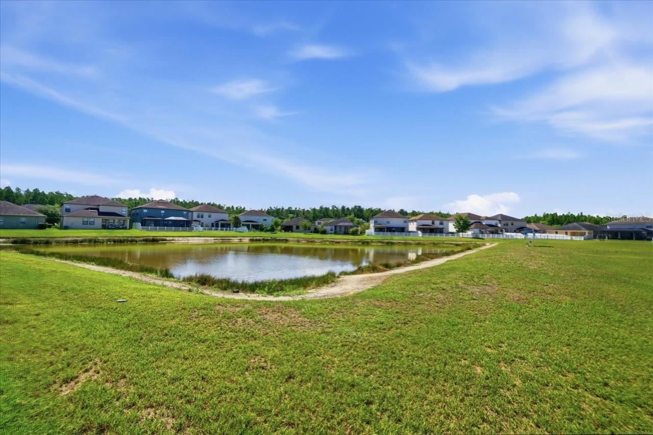 19132 ANDREA LYNN LN, LAND O LAKES, FL — photo 59