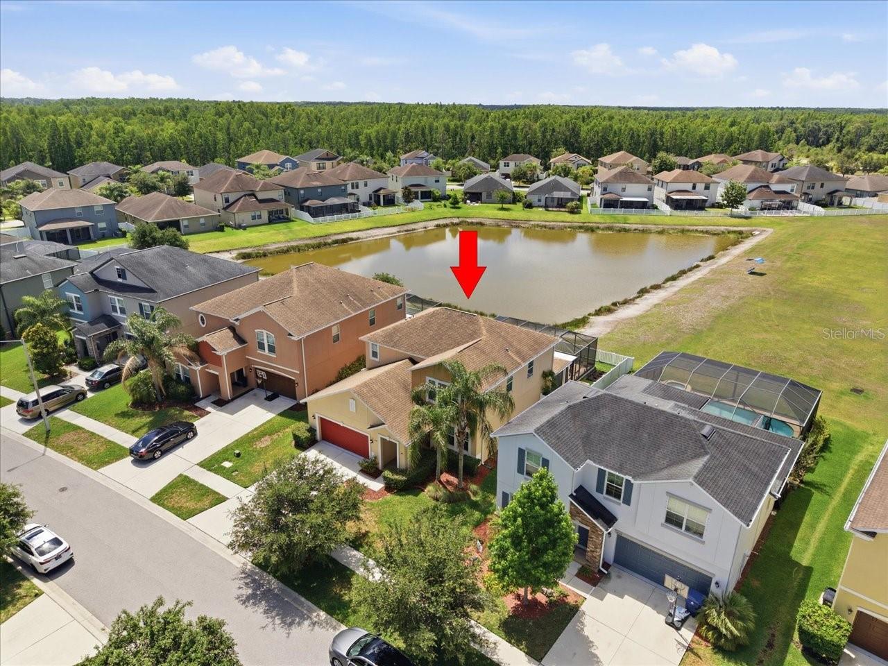 19132 ANDREA LYNN LN, LAND O LAKES, FL — photo 60