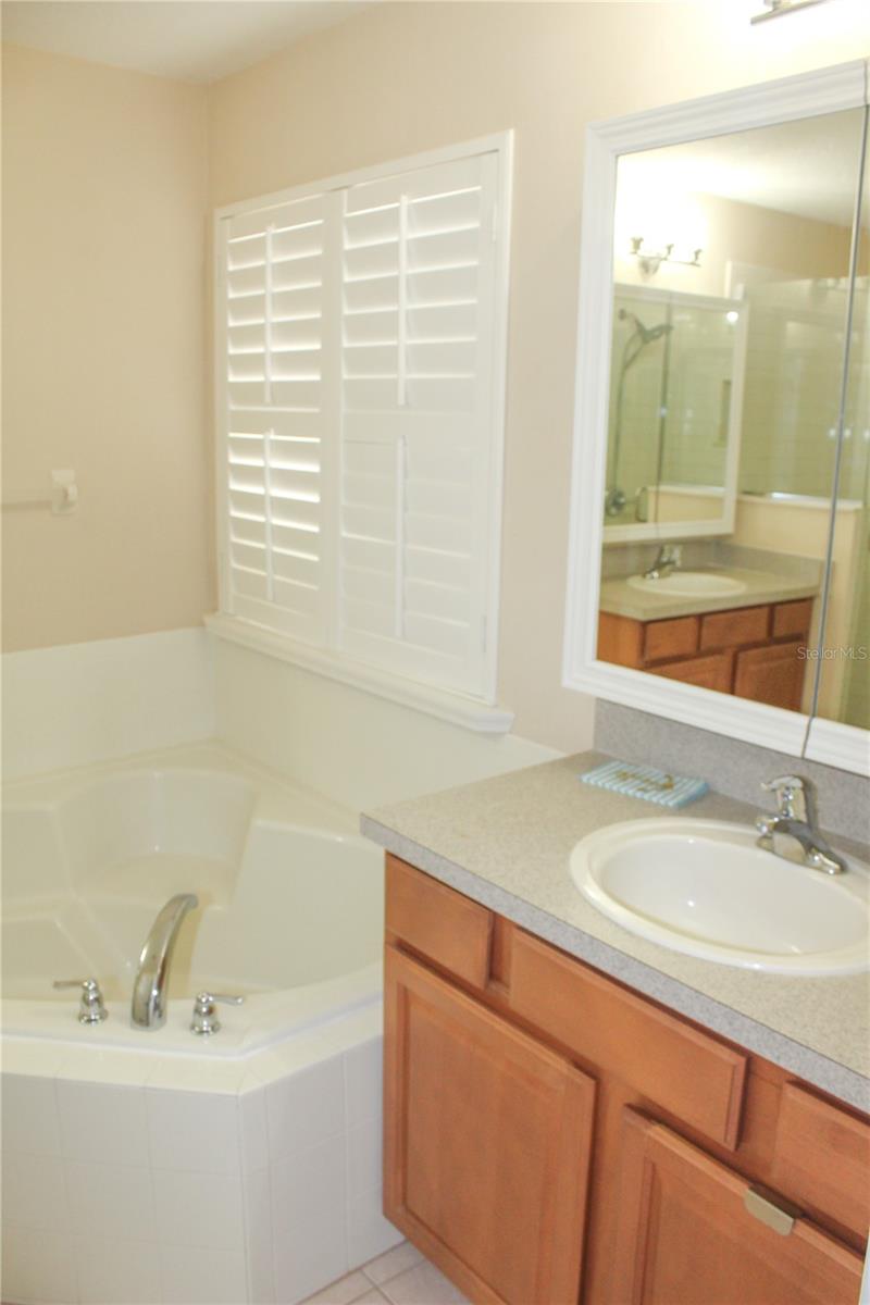 14252 CONFETTI DR, WINDERMERE, FL — photo 18