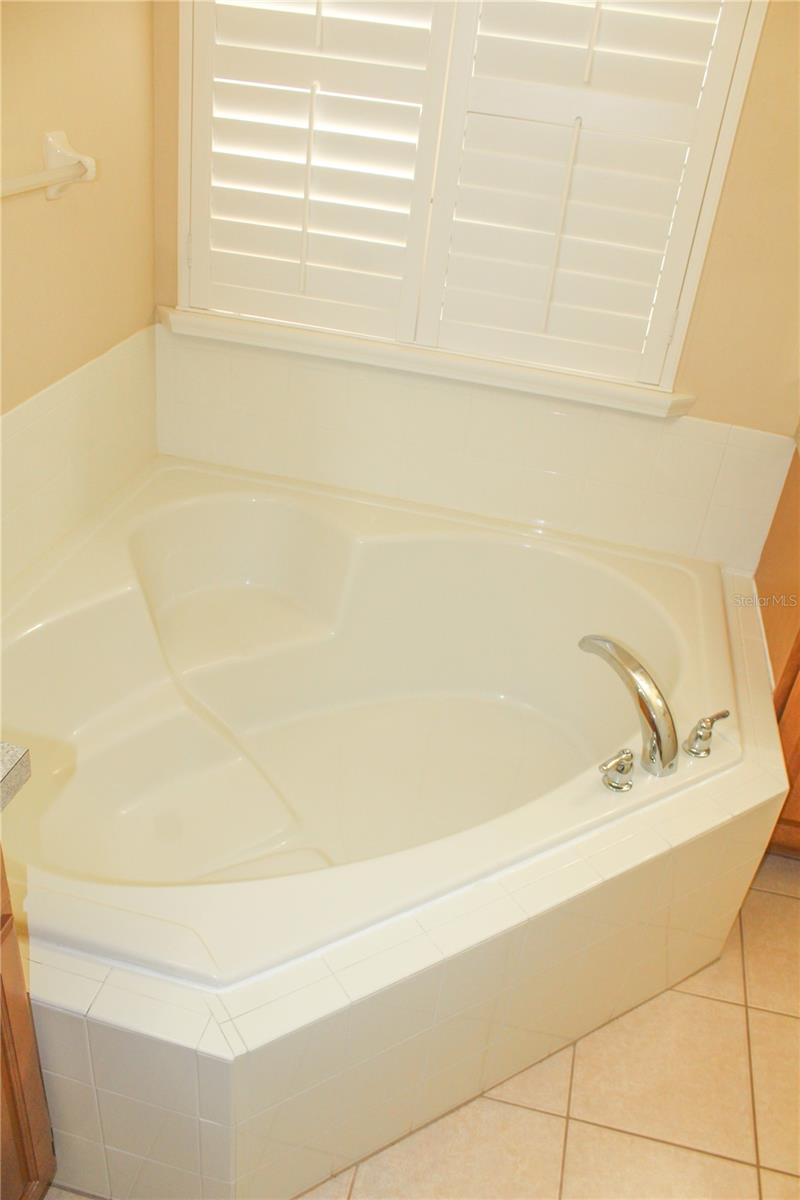 14252 CONFETTI DR, WINDERMERE, FL — photo 21