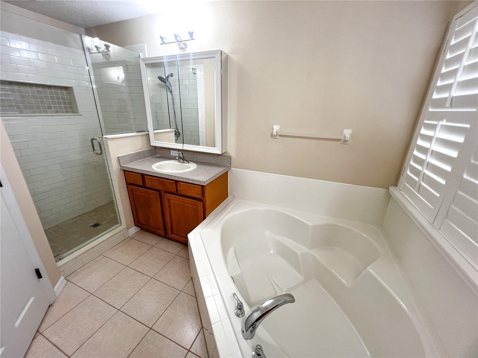 14252 CONFETTI DR, WINDERMERE, FL — photo 47