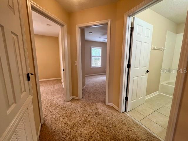 14252 CONFETTI DR, WINDERMERE, FL — photo 64