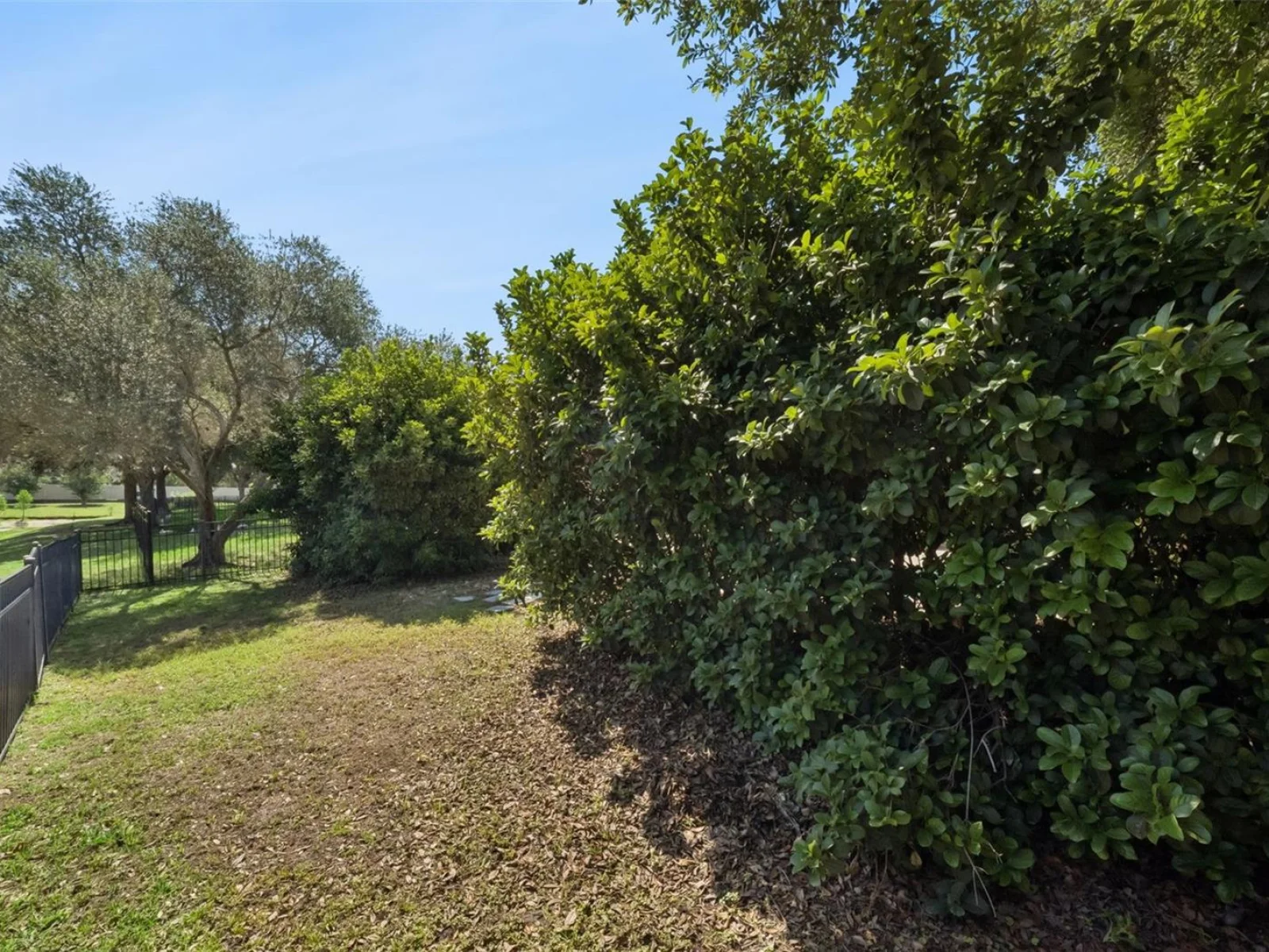 5056 GANDROSS LN, MOUNT DORA, FL — photo 80