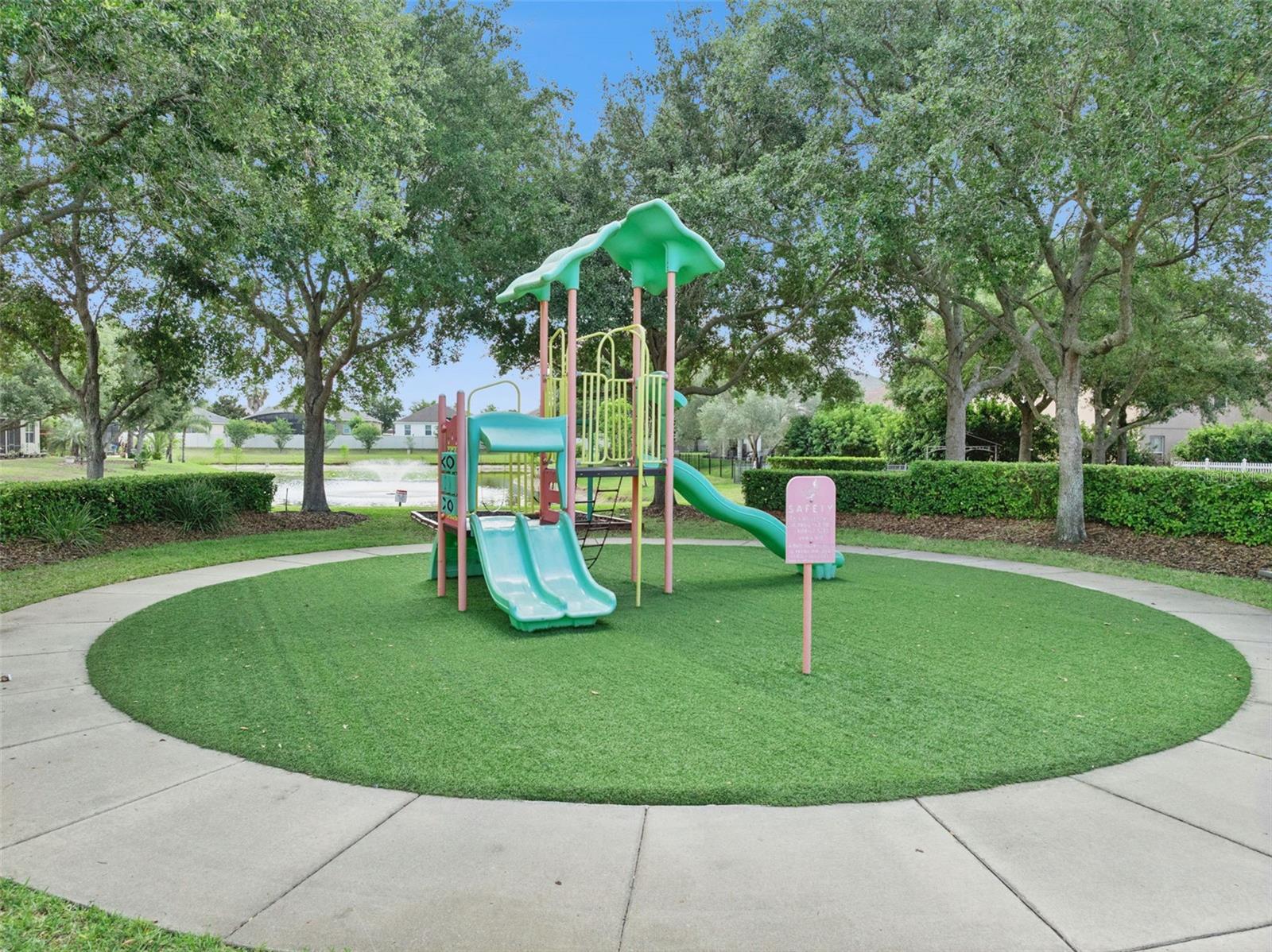 5056 GANDROSS LN, MOUNT DORA, FL — photo 105