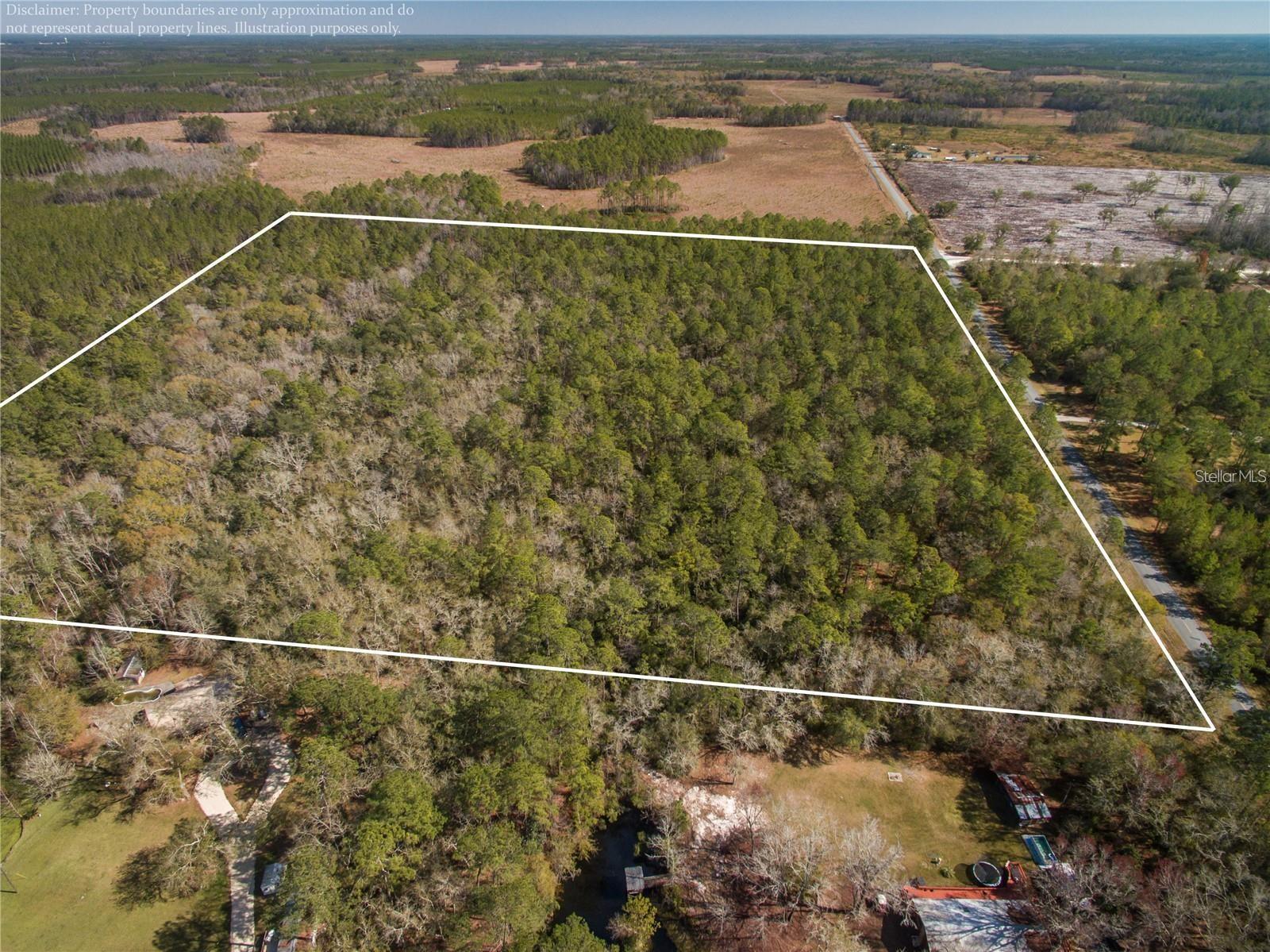 xxxx WEEKS LN, LAKE CITY, FL — photo 7