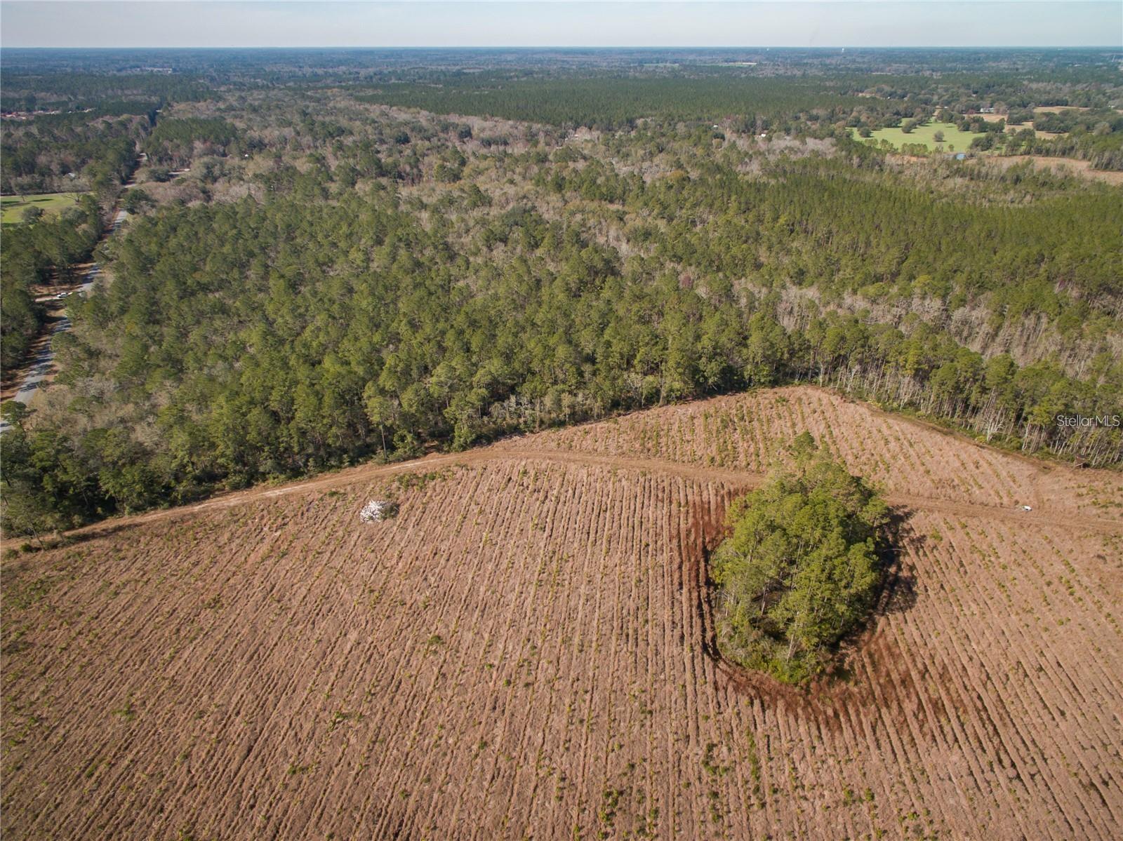 xxxx WEEKS LN, LAKE CITY, FL — photo 8