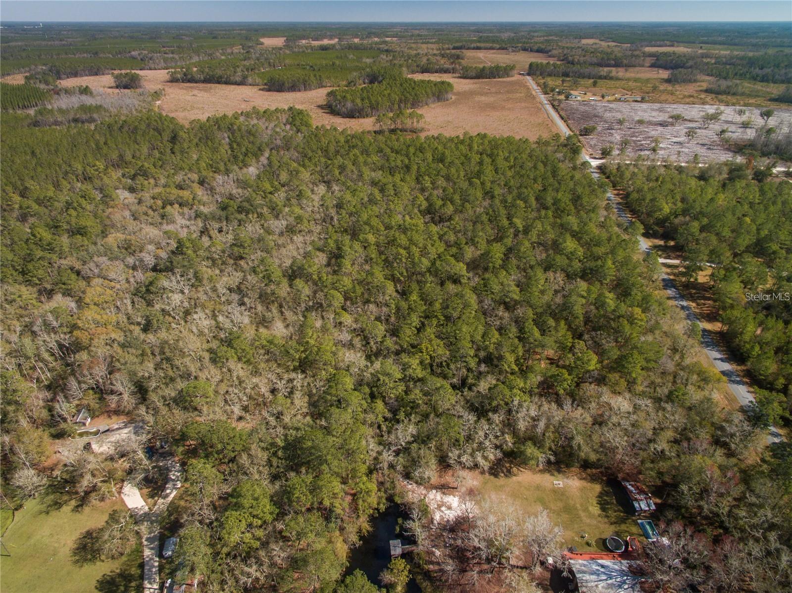 xxxx WEEKS LN, LAKE CITY, FL — photo 9