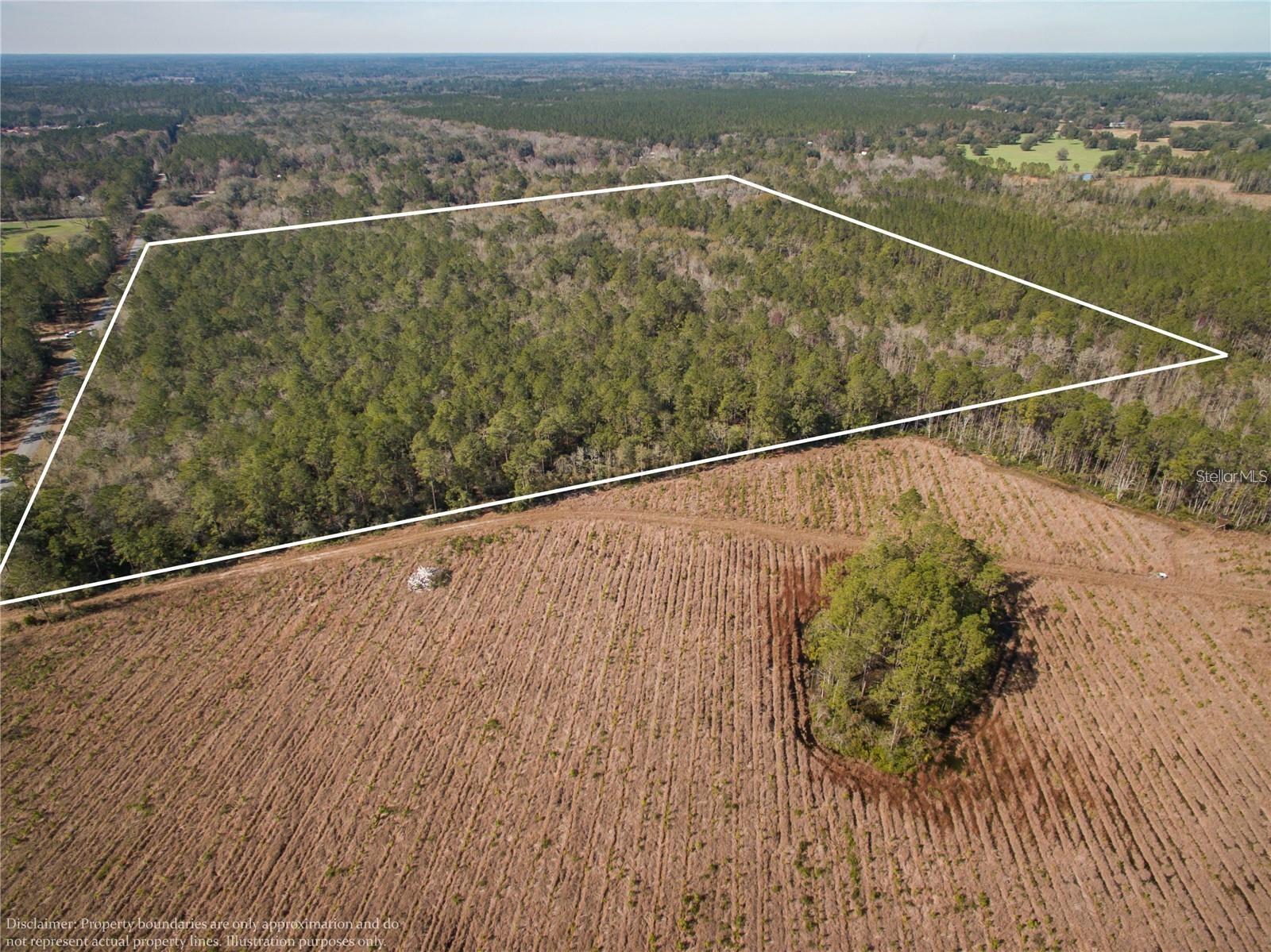xxxx WEEKS LN, LAKE CITY, FL — photo 10