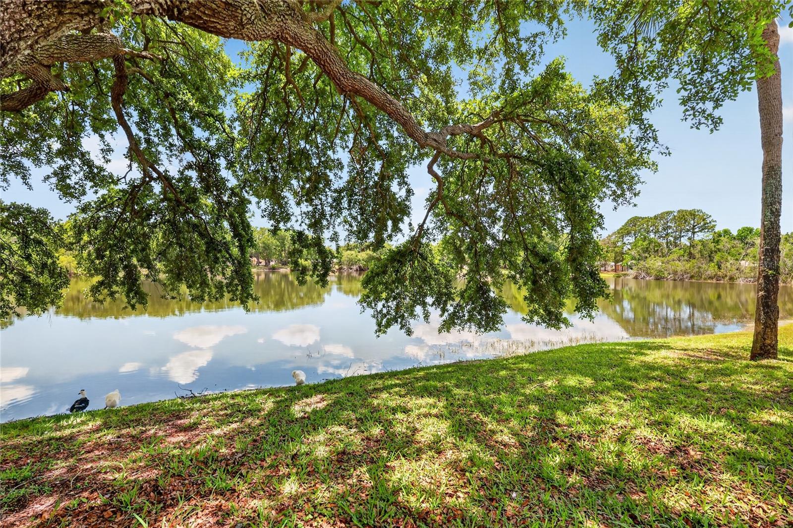 3001 STRATFORD LN, MOUNT DORA, FL — photo 5