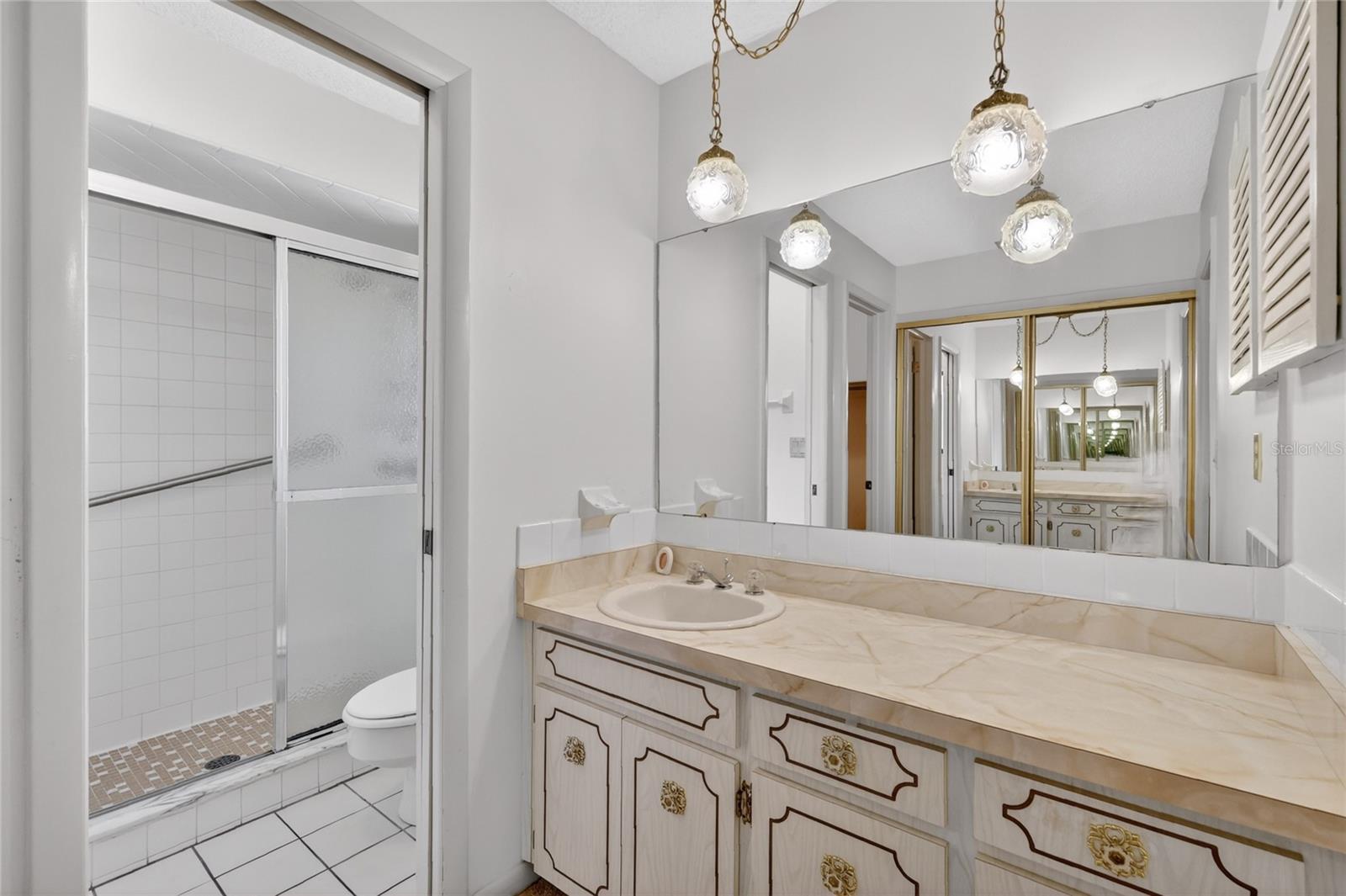 3001 STRATFORD LN, MOUNT DORA, FL — photo 40