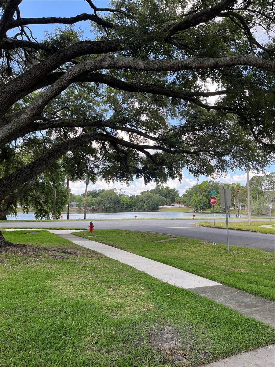 3001 STRATFORD LN, MOUNT DORA, FL — photo 60