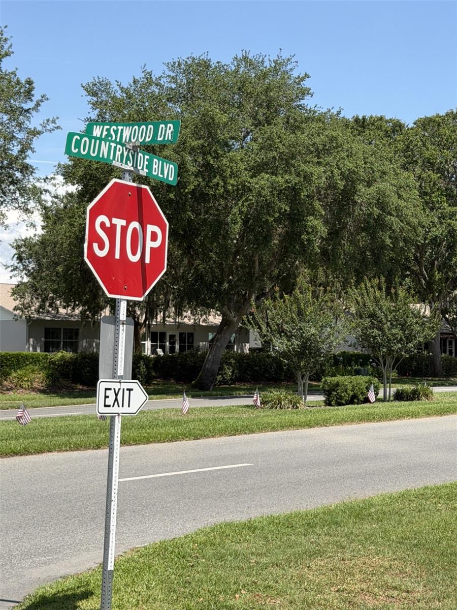 412 WESTWOOD DR, LEESBURG, FL — photo 32