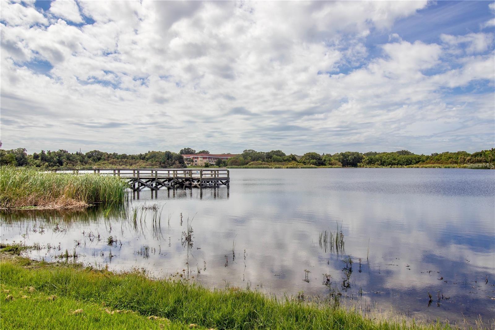 2428 COLUMBIA DR #68, CLEARWATER, FL — photo 28