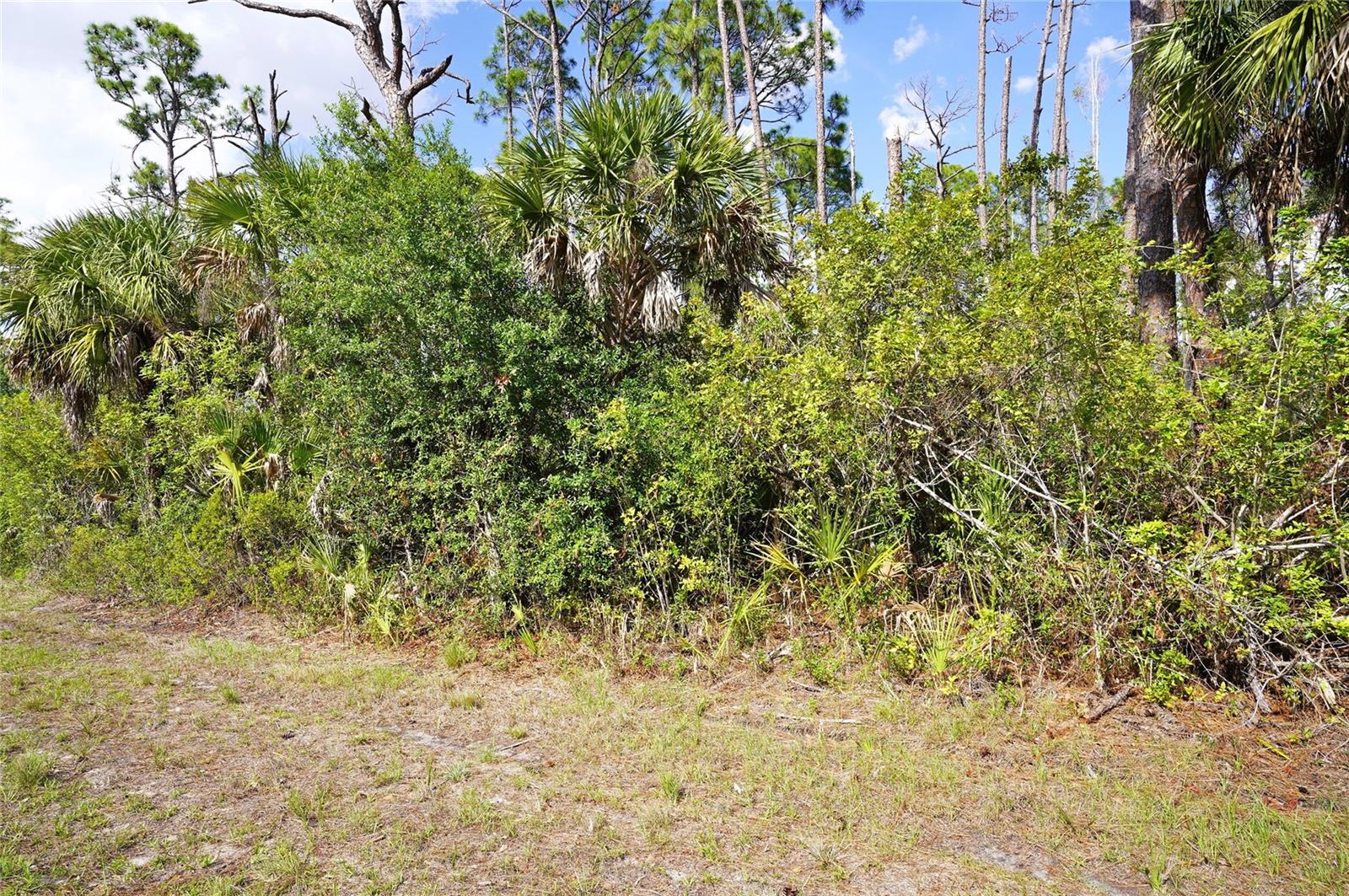 510 DAILEY ST, PORT CHARLOTTE, FL — photo 2