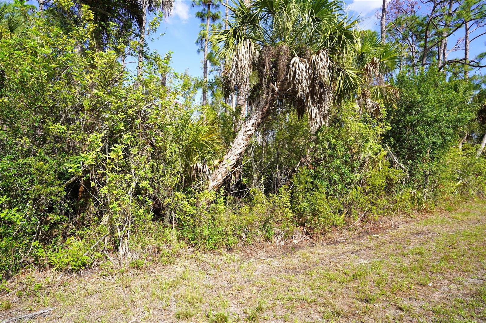 510 DAILEY ST, PORT CHARLOTTE, FL — photo 3