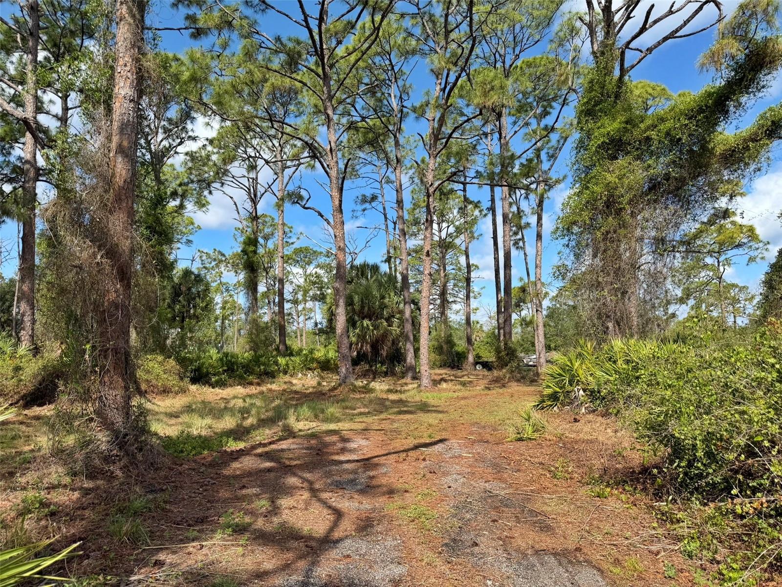 1213 CASPER ST, PORT CHARLOTTE, FL — photo 70