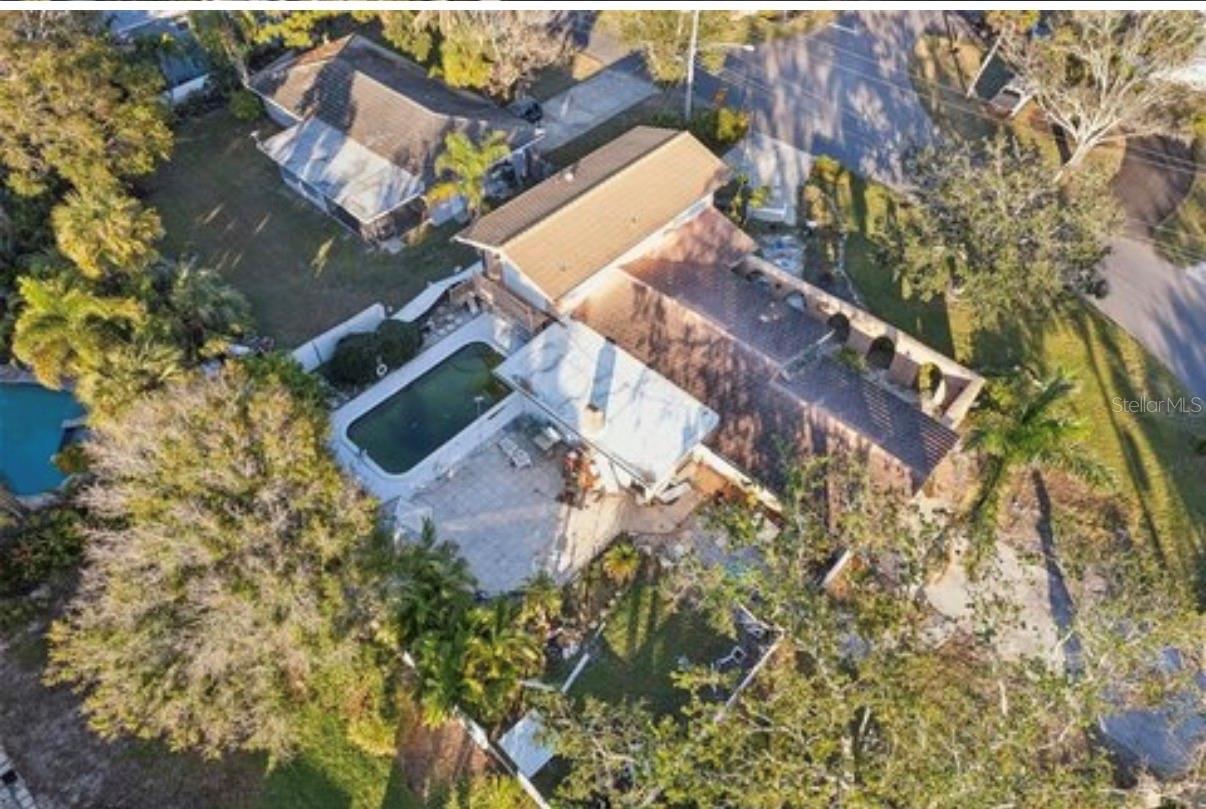 100 AUGUSTA AVE, PALM HARBOR, FL — photo 8