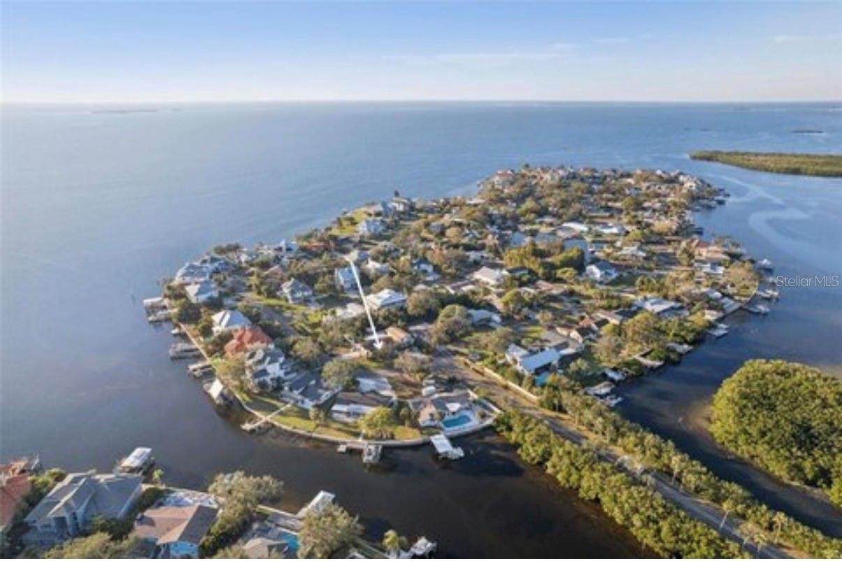 100 AUGUSTA AVE, PALM HARBOR, FL — photo 10
