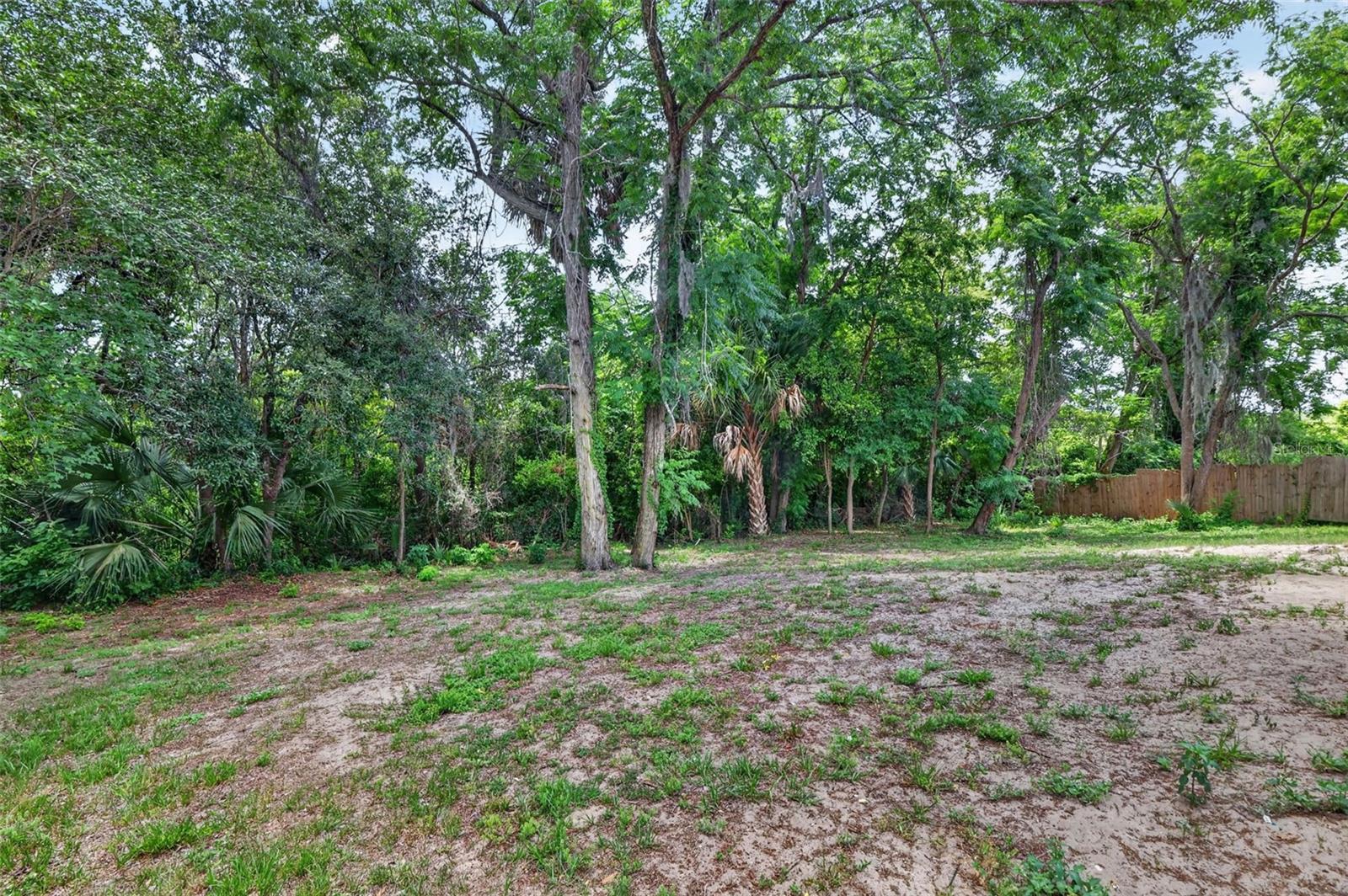 36 BAY RIDGE LOOP, MASCOTTE, FL — photo 57