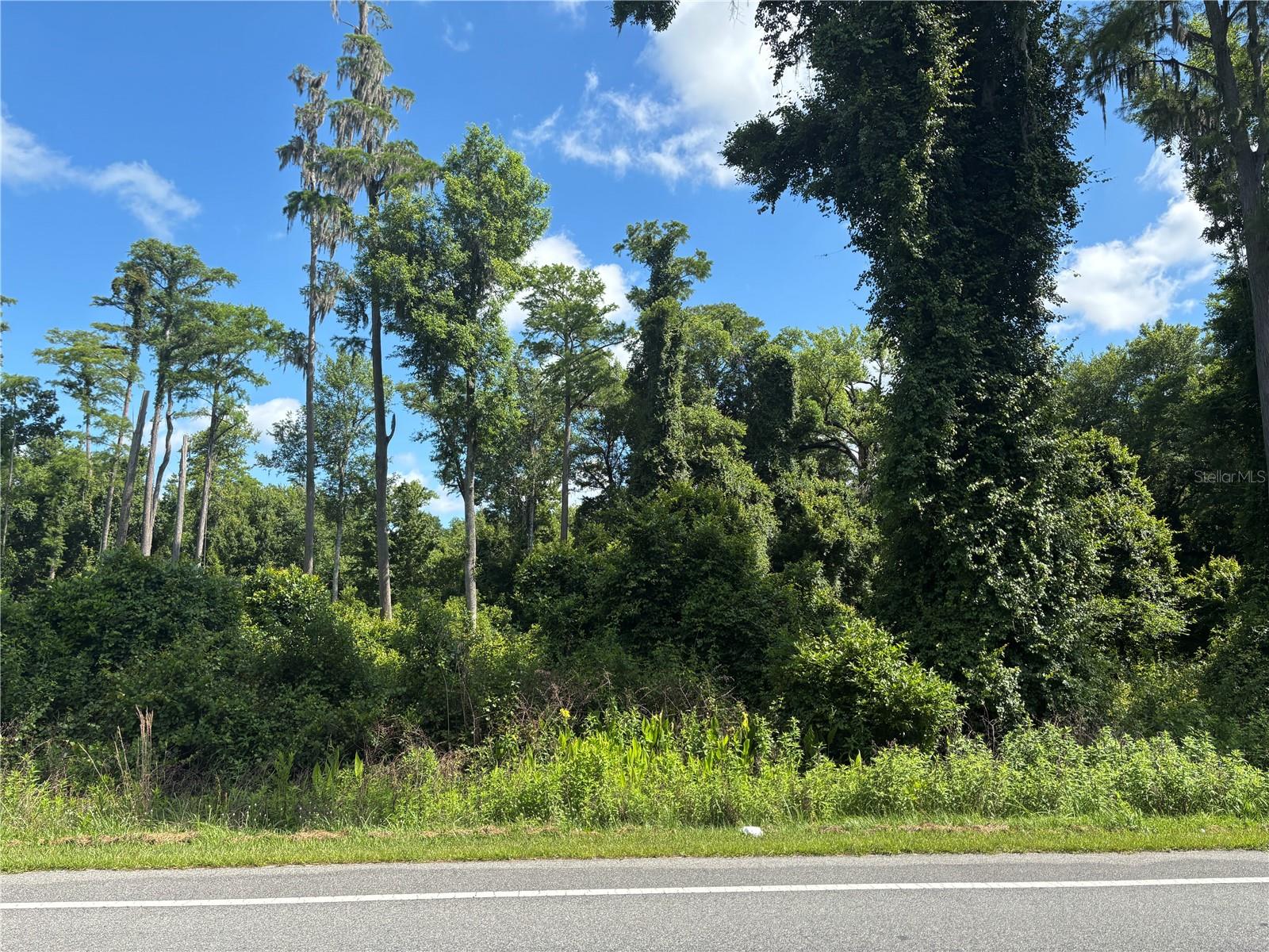 5014 MAHOGANY BLVD, BUNNELL, FL